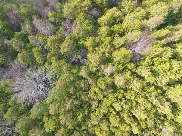 Consommation Responsable : Le Pouvoir de Lutter Contre la Pollution